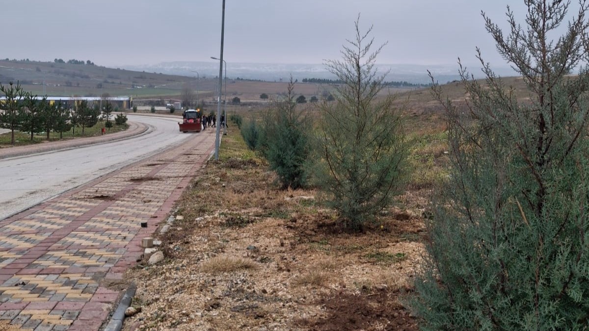 Kuzeykent Kampüsümüzde Ağaçlandırma Çalışmaları 